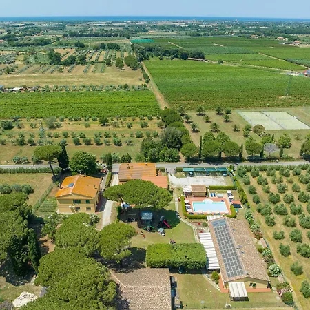 Il Pino - Leccio * Cecina